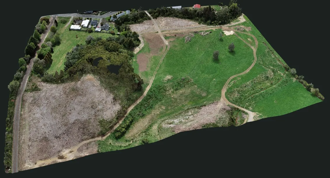 3D drone model of Joe Gibbs Reserve, Inglewood: pale cleared ground where pines were felled, beside native bush, a pond and paddocks