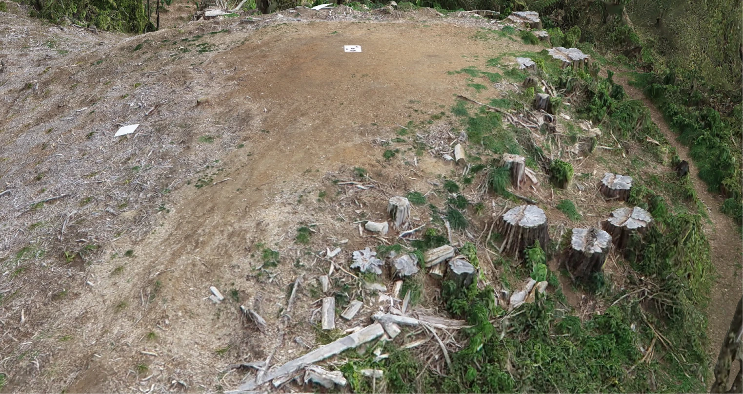 Hilltop in the Joe Gibbs Reserve drone 3D model: the walkway, freshly cut pine stumps, new plantings and a white ground control target