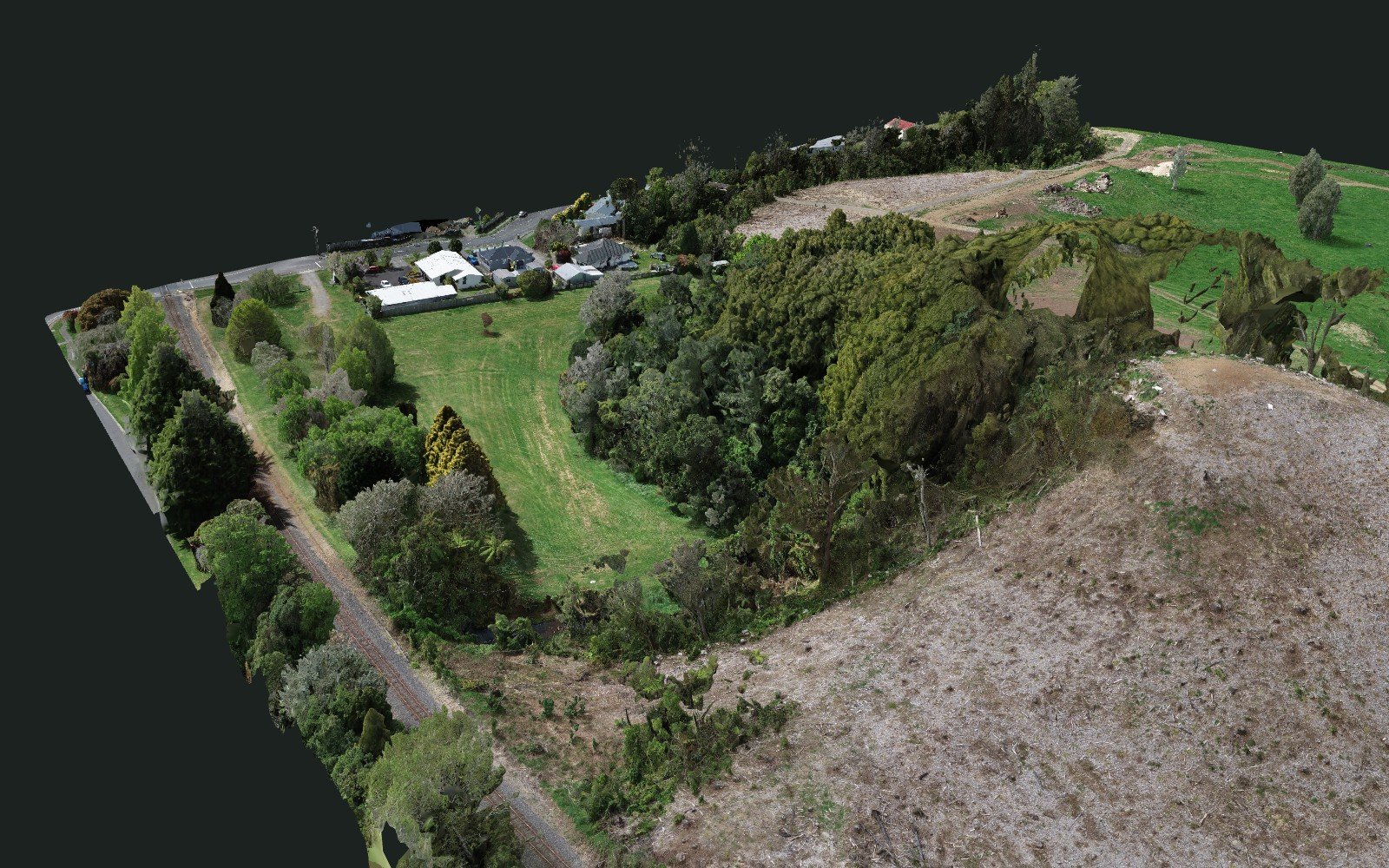 Close-up of the Joe Gibbs Reserve drone 3D model, Inglewood: sharp houses, sheds, a road and the cleared pine ground beside a shelter belt whose wind-blown canopy has come out as smeared, hollow shapes