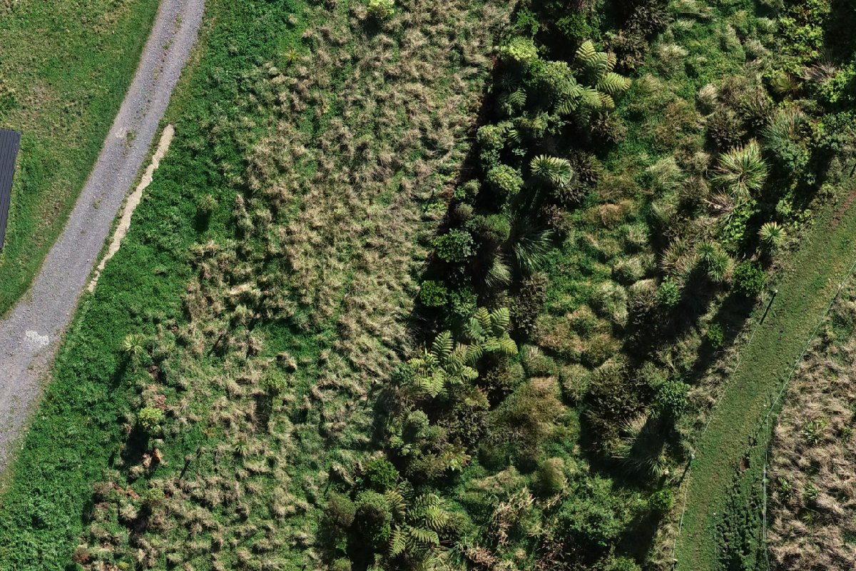 The gully photographed by drone from 60 m