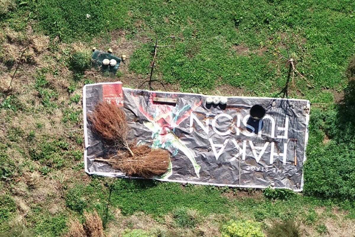 The banner photographed from 25 m