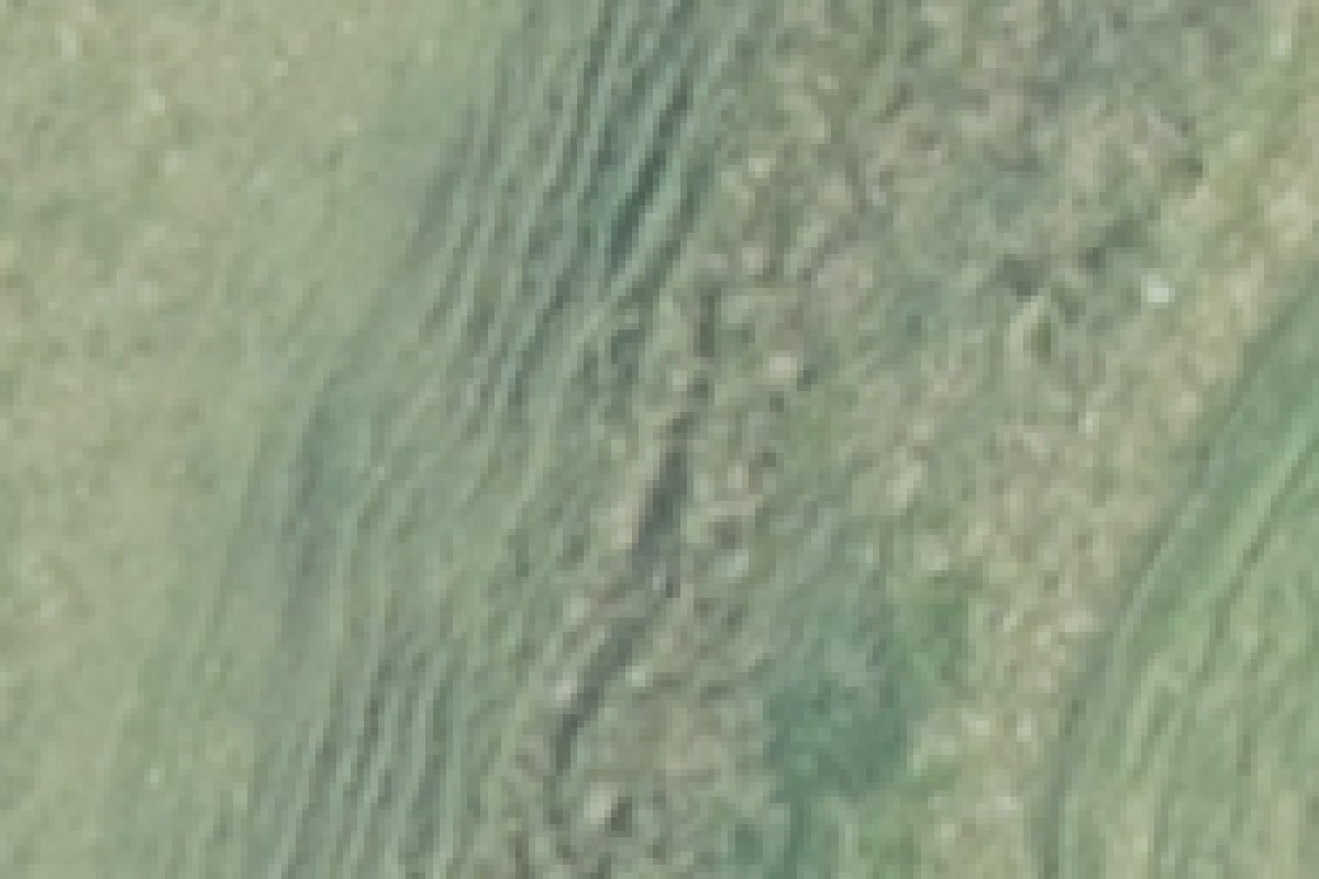 The gully in the LINZ national aerial photo, 2021