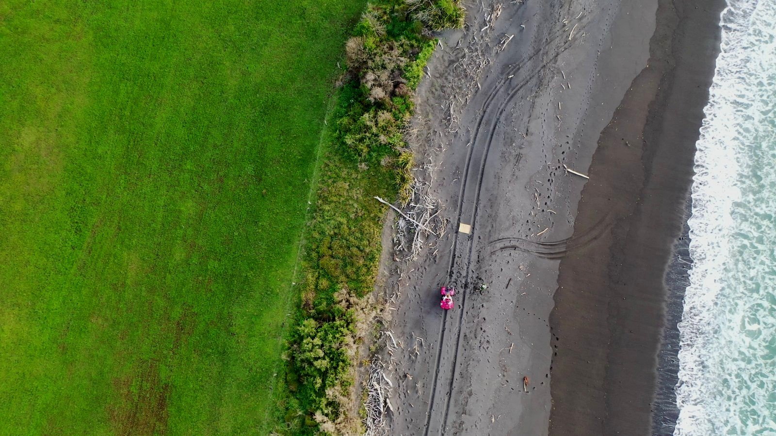 Straight-down drone view of the Taranaki coastal margin: green pasture, a strip of dune scrub, a driftwood line, black sand and surf