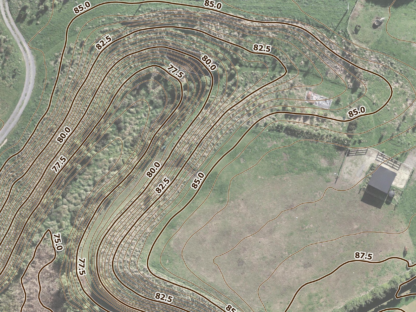 Close view of half-metre contour lines, labelled every 2.5 metres from 75 to 87.5, wrapping around a planted gully on a Taranaki lifestyle block, drawn over a drone orthomosaic