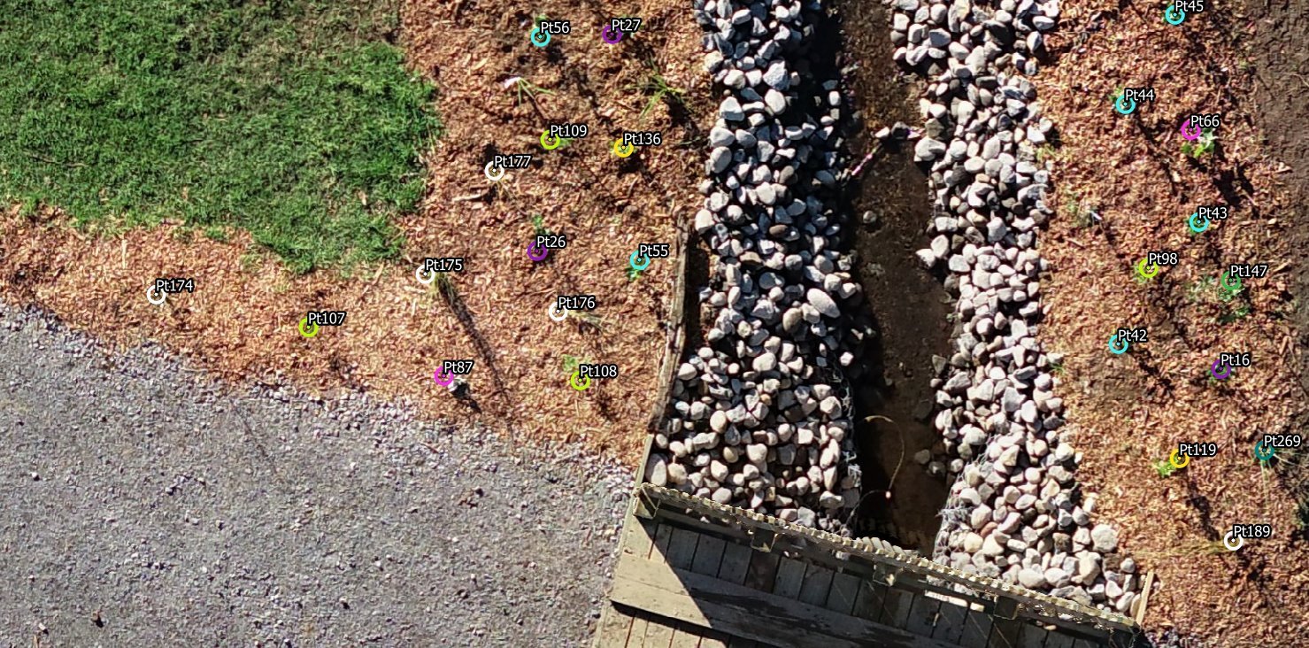 Close-up of the orthomosaic showing individual native plants with coloured rings and point labels Pt16 to Pt269